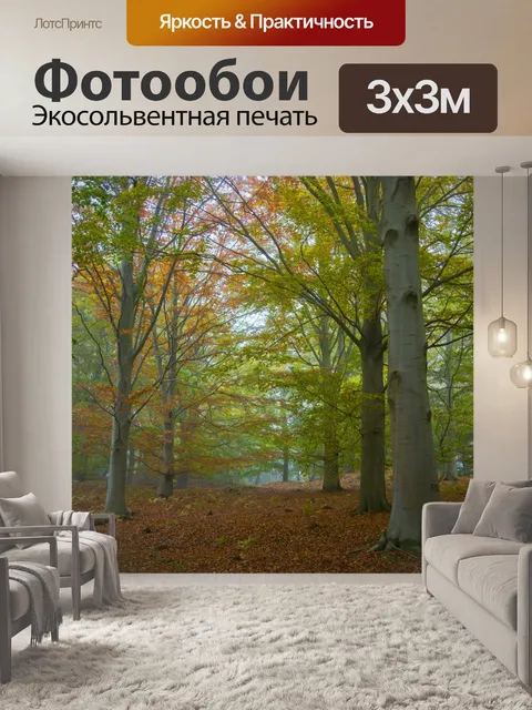 Фотообои Туманный лес