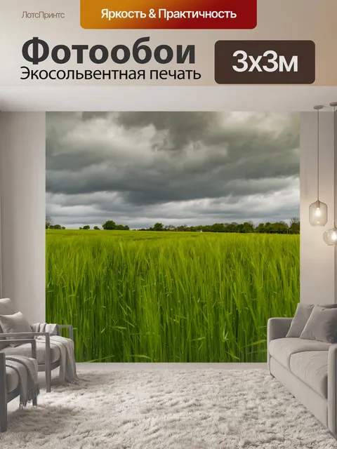 Фотообои Поле зеленого ячменя