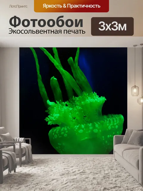 Фотообои Зеленый медузы