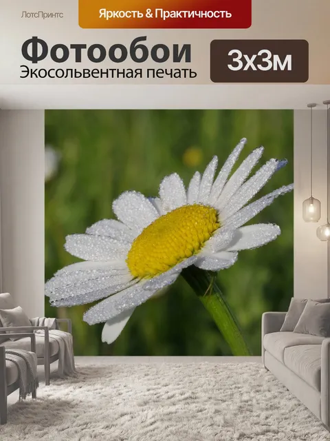 Фотообои Дейзи