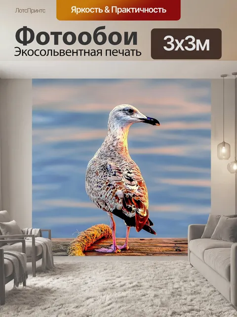 Фотообои Птица
