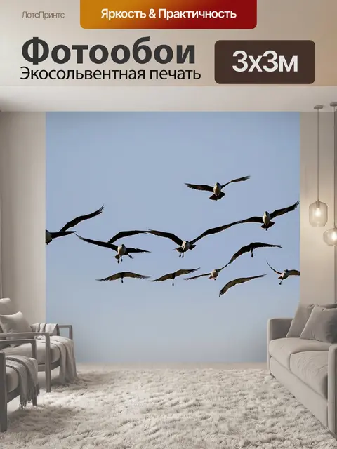 Фотообои перелетные птицы, собирающиеся в миг, чтобы отправиться в путь - мощный и динамичный момент зафиксирован на…