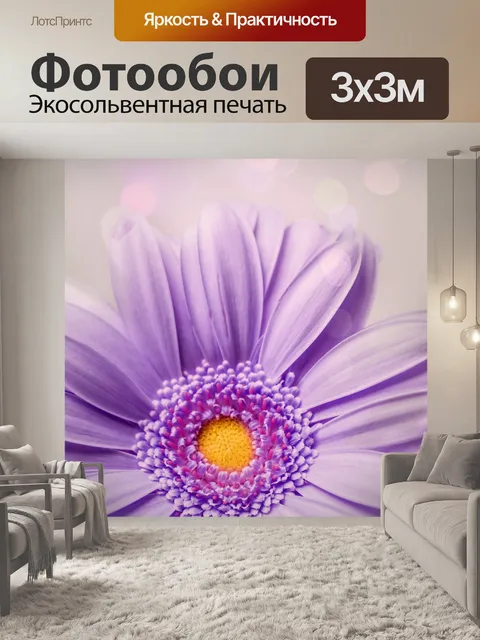 Фотообои Цветы цветут герберы макрос