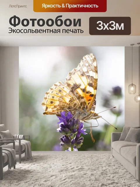 Фотообои Бабочка