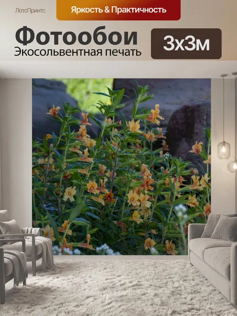 Фотообои Полевые цветы