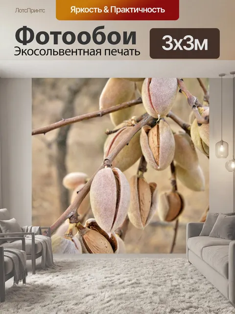 Фотообои миндаль