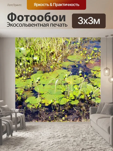Фотообои Лили колодки 1