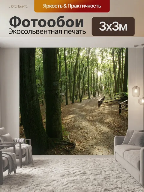 Фотообои Побережье балтийского моря