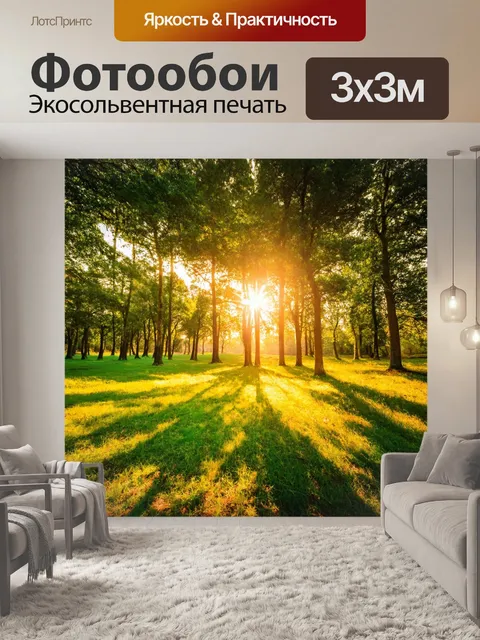Фотообои с зеленым лесом на фоне яркого заката, деревья перекрывают свет, создавая интригующие теневые узоры на земле