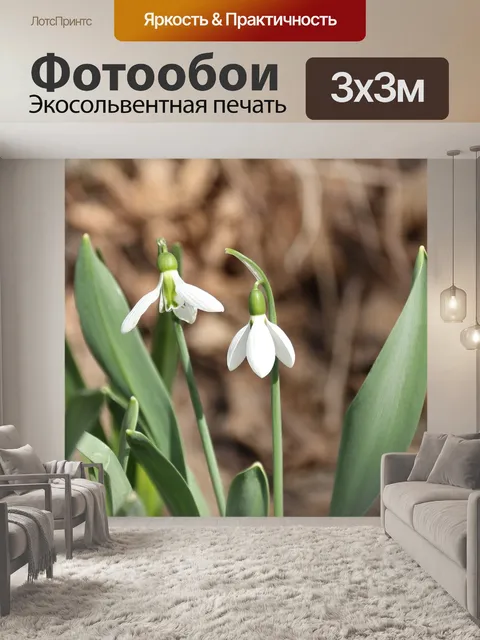 Фотообои Подснежник