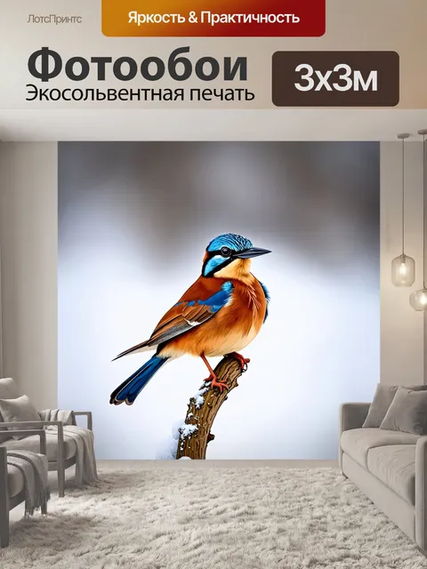 Фотообои изображение редкой птицы в ясный морозный день