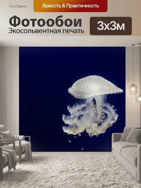 Фотообои Медуза Phyllorhiza рипсШа