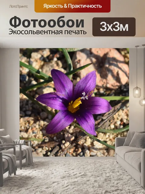 Фотообои Цветок