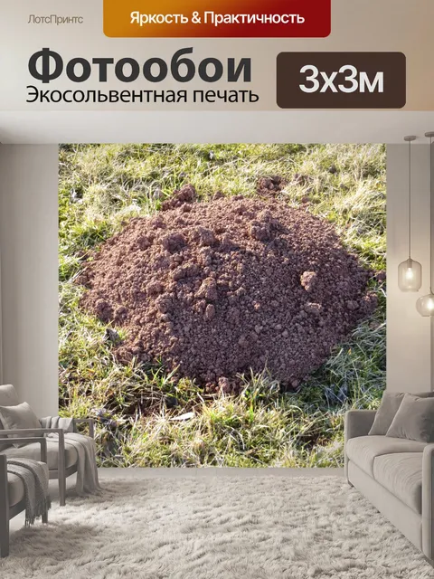 Фотообои Мол куча