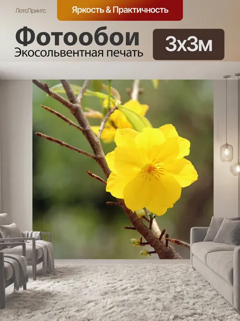 Фотообои Желтый абрикос цветет
