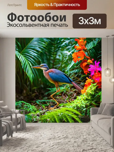 Фотообои птица с длинным хвостом