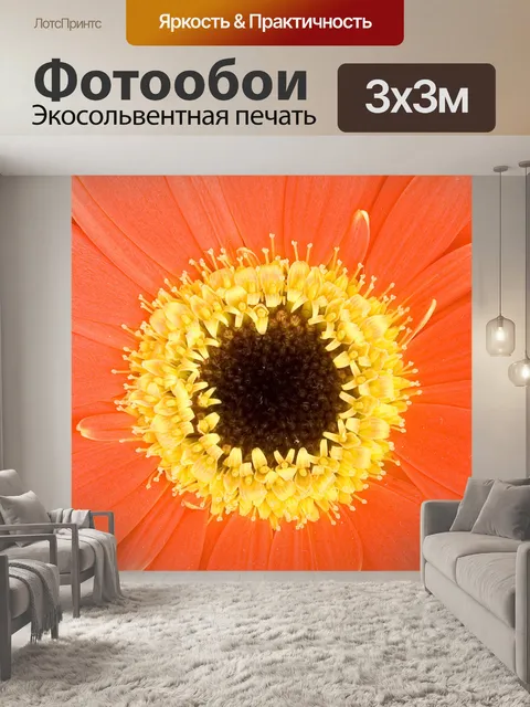Фотообои Деталь Герберы