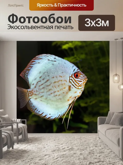 Фотообои Дискус