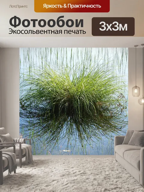 Фотообои Лесное озеро