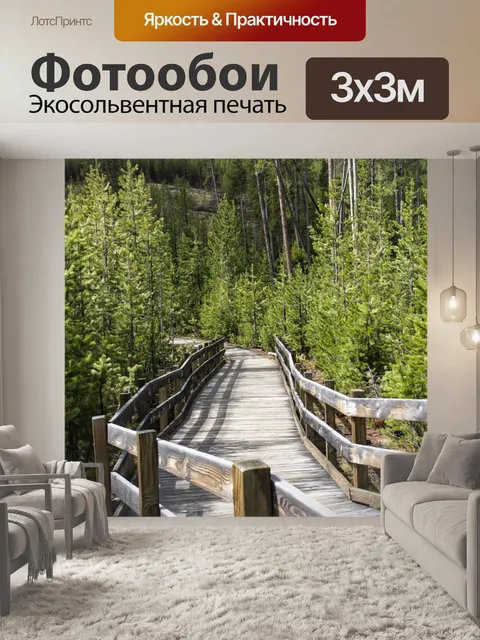 Фотообои дорожка в лесу