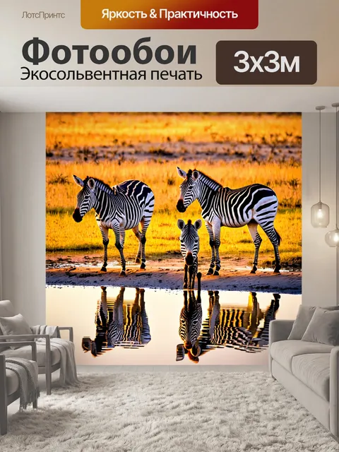 Фотообои зебра, играющая с другими зебрами у воды на закате, их отражения видны в воде,