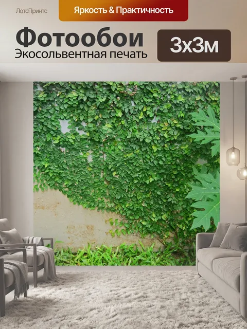 Фотообои Зеленая лиана, покрывающая стену