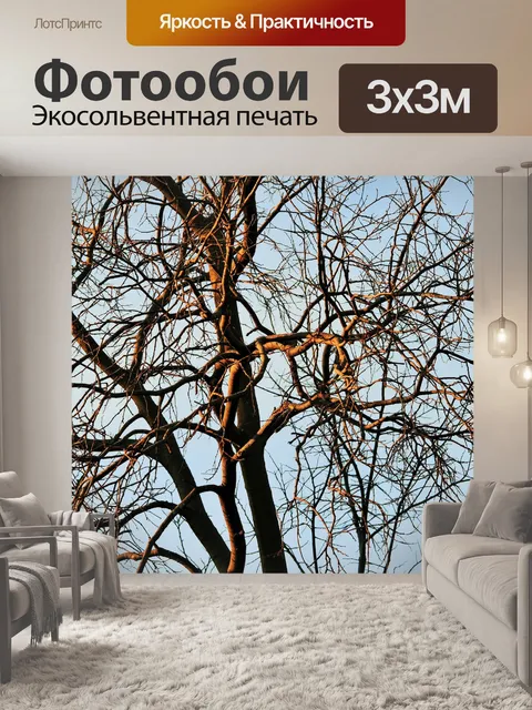 Фотообои голые белые Stinkwood зимой