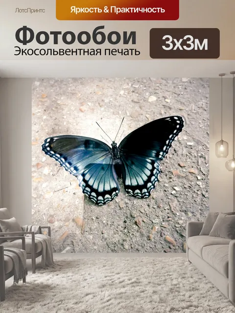 Фотообои Голубая и черная бабочка