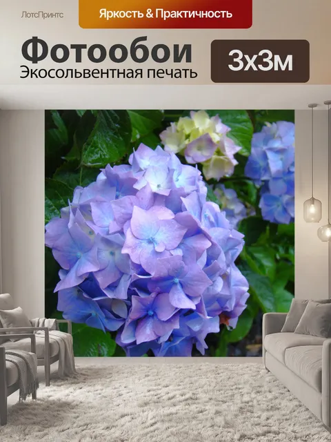 Фотообои Гортензия