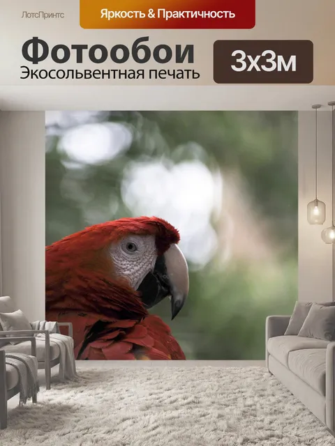 Фотообои Попугай ара