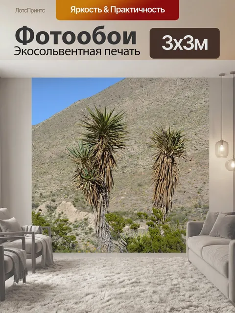 Фотообои Государственный парк Franklin Mountains