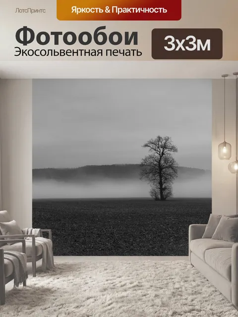 Фотообои Туман