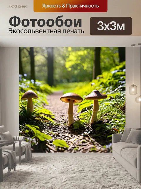 Фотообои грибы прогулка по дорожкам в ботаническом саду