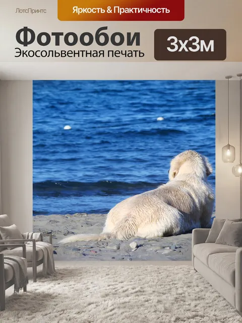 Фотообои Собака