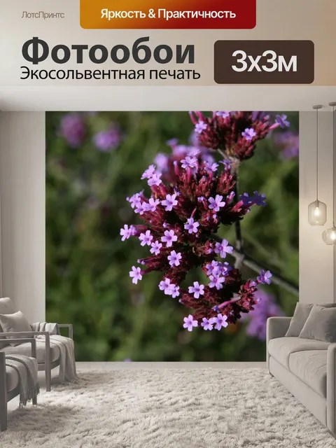 Фотообои Луговые цветы
