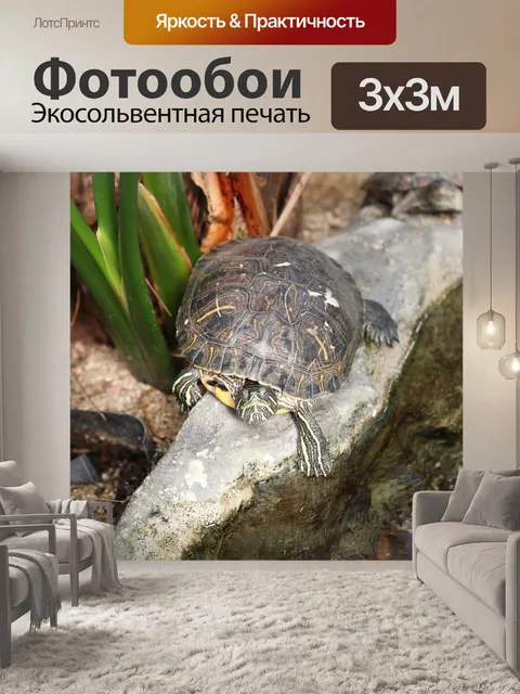 Фотообои Черепаха