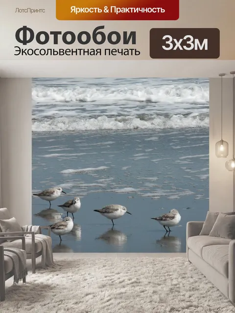 Фотообои Птицы