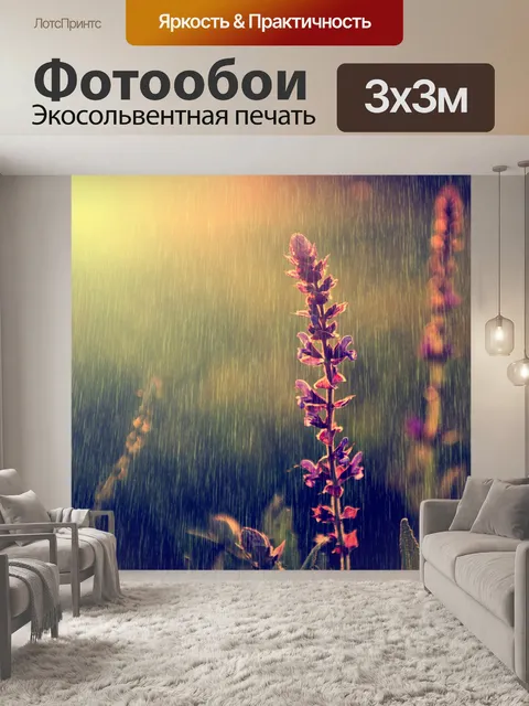 Фотообои Дождь