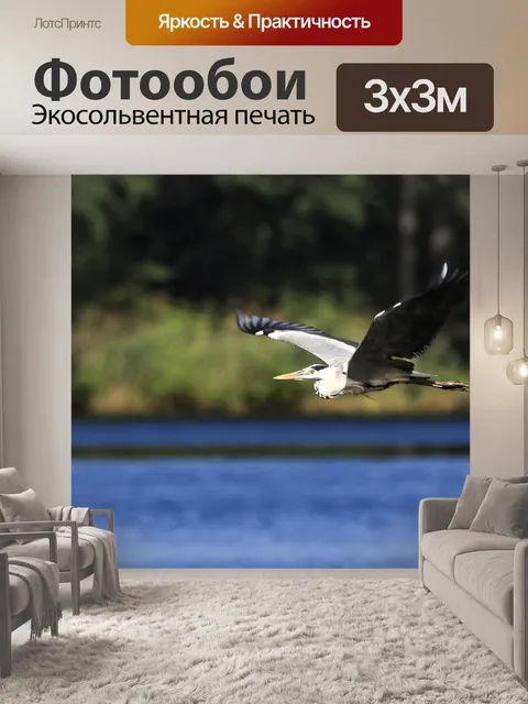 Фотообои Серая цапля