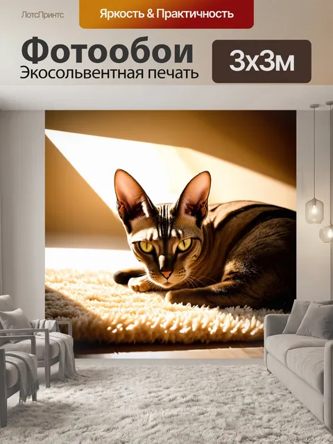 Фотообои ориентальная короткошерстная кошка, притянутая к теплу солнечных лучей, дремлющая на уютном ковре