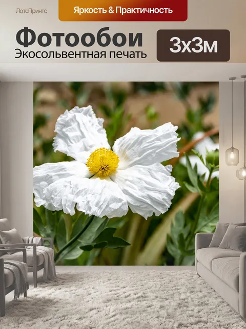 Фотообои Мак Матилия