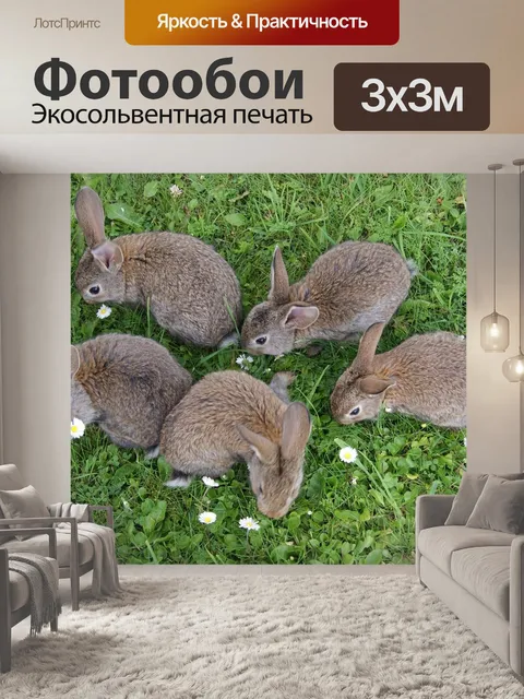 Фотообои Кролики
