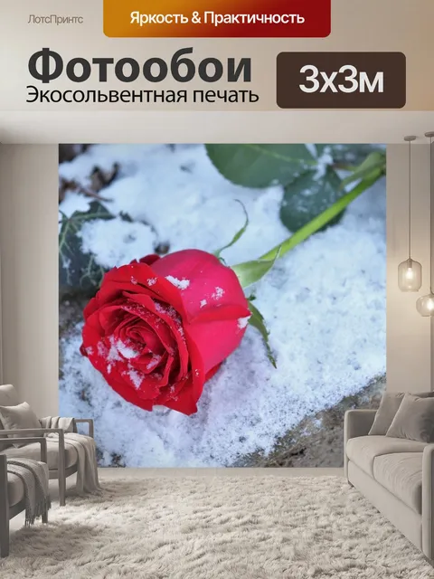 Фотообои Красная роза на камне