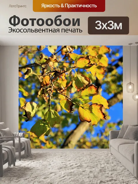 Фотообои ярко-желтые листья переодевания