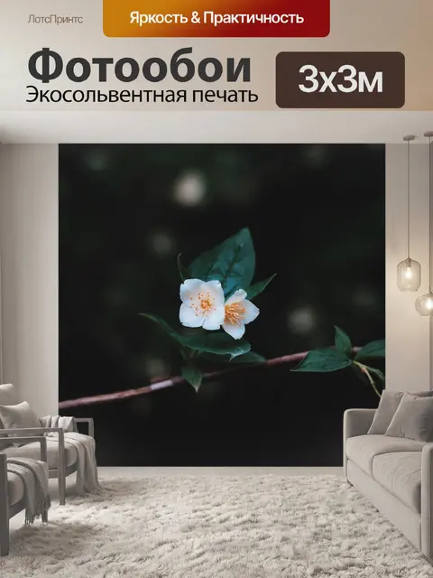 Фотообои Белый
