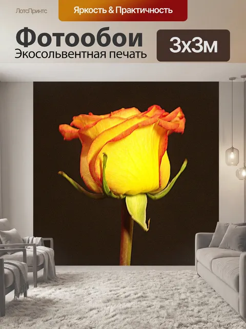 Фотообои Роза