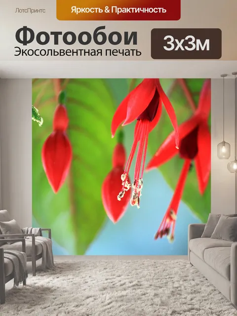 Фотообои Красный Цветок