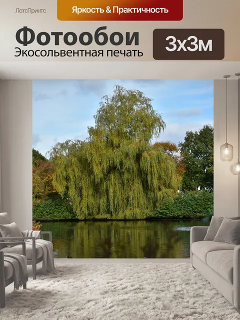 Фотообои Падение