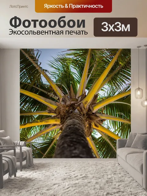 Фотообои Низкий угол выстрела