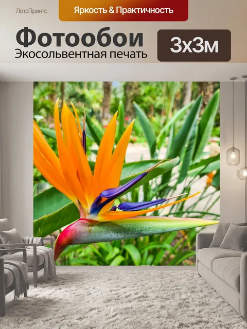 Фотообои Цветок райской птицы